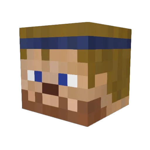 Cpt_Koala Minecraft avatar head, 3D render
