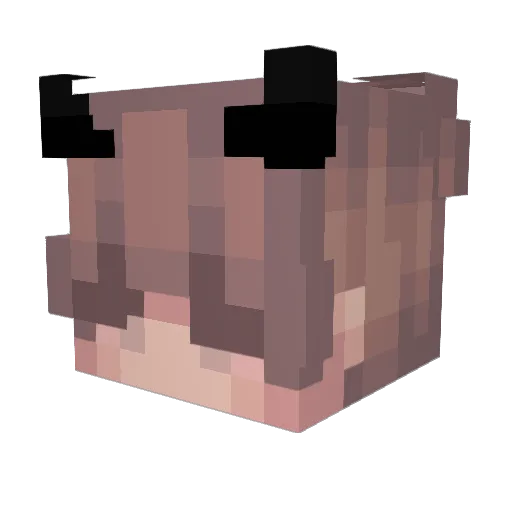 Cpt_Miracle_Whip Minecraft avatar head, 3D render