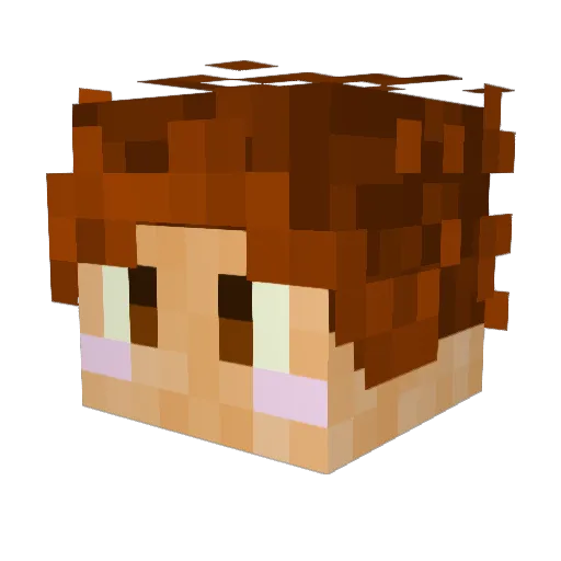 Cpt_vill78 Minecraft avatar head, 3D render