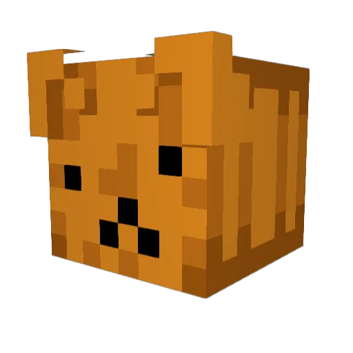 Cpyku Minecraft avatar head, 3D render