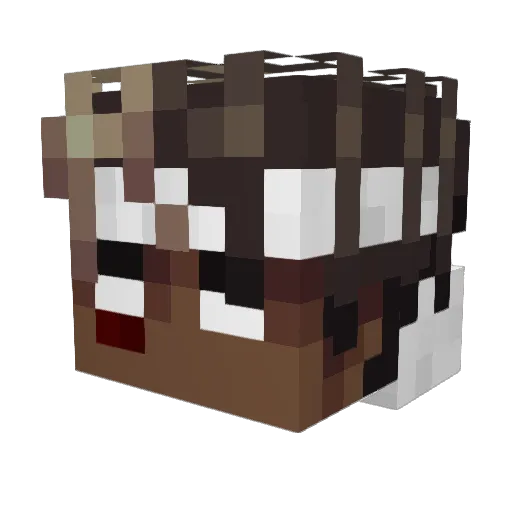 Cpzp Minecraft avatar head, 3D render