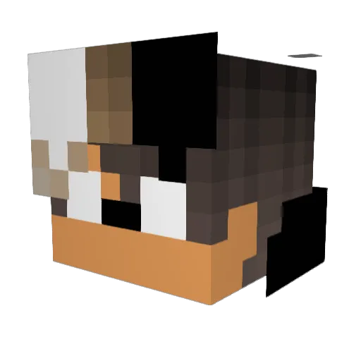 Cq0x Minecraft avatar head, 3D render