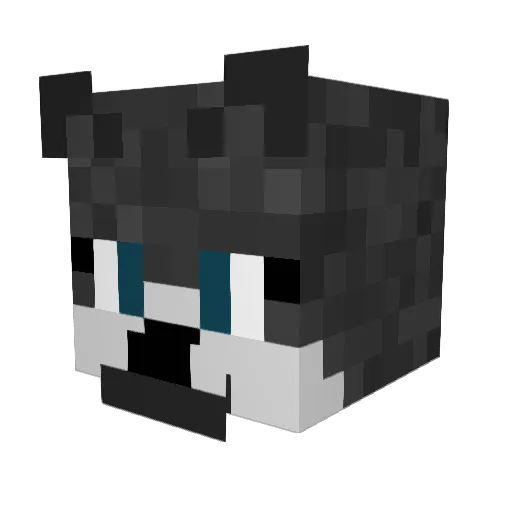 Cqlliin Minecraft avatar head, 3D render