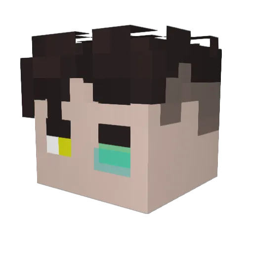 Cr05SHa1r Minecraft avatar head, 3D render