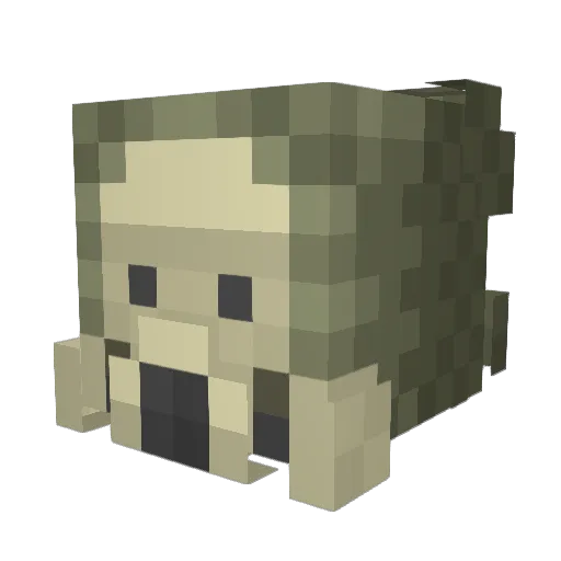 Cr0ok3d Minecraft avatar head, 3D render