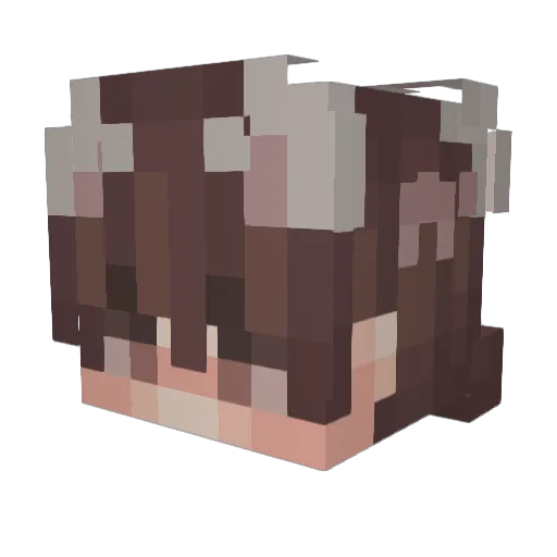 Cr0ske Minecraft avatar head, 3D render
