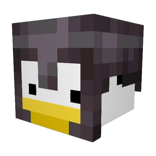 Cr0w666 Minecraft avatar head, 3D render
