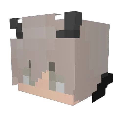 Cr1ng3_ Minecraft avatar head, 3D render