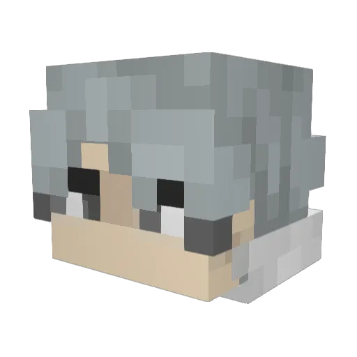 Cr1sisManagement Minecraft avatar head, 3D render