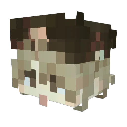 Cr1spy_C1pher Minecraft avatar head, 3D render