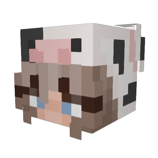 Cr34tions Minecraft avatar head, 3D render