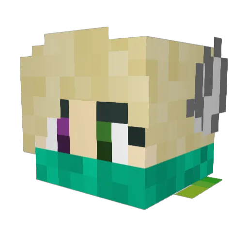 Cr3shh Minecraft avatar head, 3D render