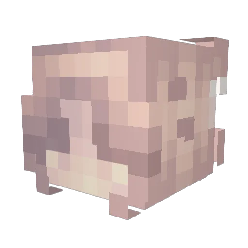 Cr4zyStell4 Minecraft avatar head, 3D render
