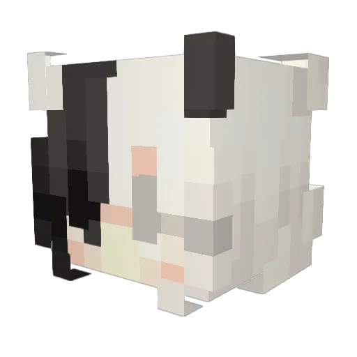 CrANo1 Minecraft avatar head, 3D render