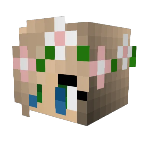 CrAaCounette Minecraft avatar head, 3D render