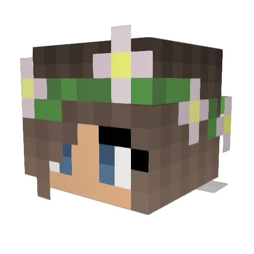 CrAzYfun2013 Minecraft avatar head, 3D render