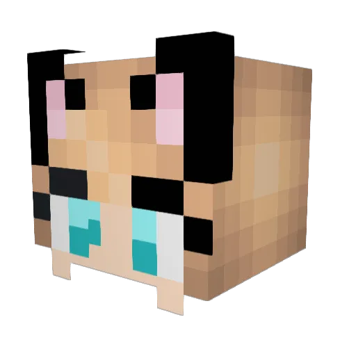 CrYptx_ Minecraft avatar head, 3D render