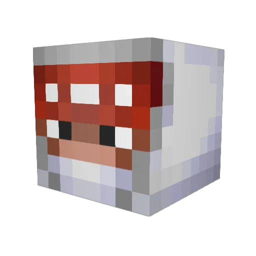 CrZyBlKdRaGoN Minecraft avatar head, 3D render