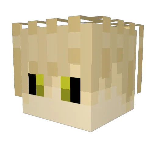 CraH_ Minecraft avatar head, 3D render