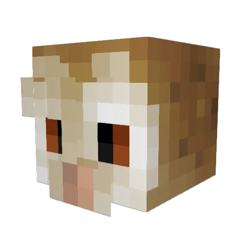 CraZBanana8 Minecraft avatar head, 3D render