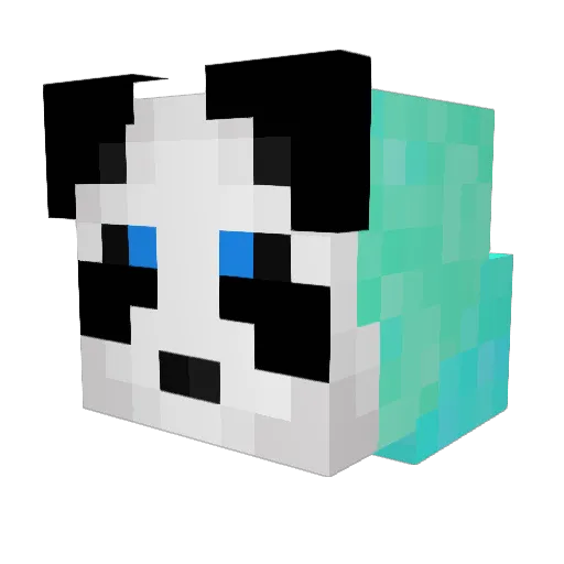 CraZee_Gamer Minecraft avatar head, 3D render