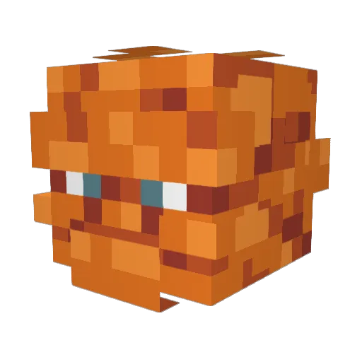 CraackRoach Minecraft avatar head, 3D render
