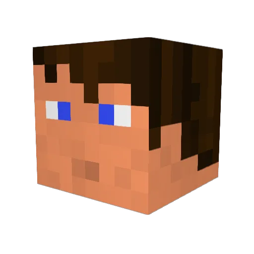 Crabcakes5 Minecraft avatar head, 3D render