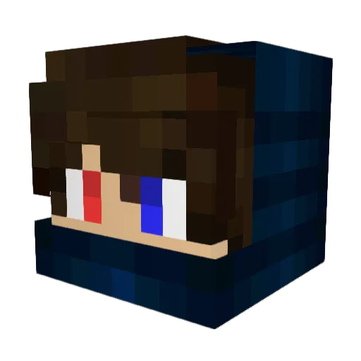 Crabe864 Minecraft avatar head, 3D render