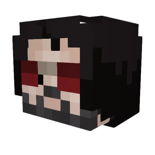 Crabjuice07 Minecraft avatar head, 3D render
