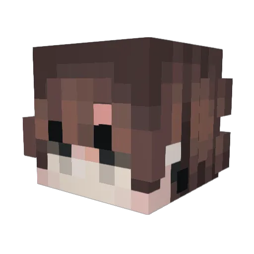 Crabsticks54 Minecraft avatar head, 3D render