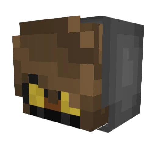 CraccmanBobby Minecraft avatar head, 3D render