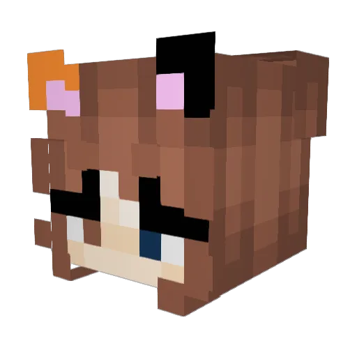 CrackedNoob Minecraft avatar head, 3D render