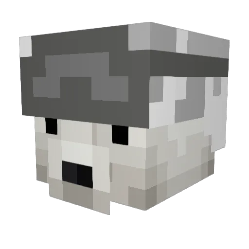 CrackedWord6971 Minecraft avatar head, 3D render