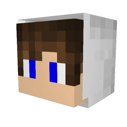 Cracker99 Minecraft avatar head, 3D render