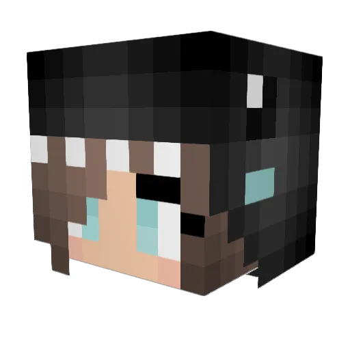 Crackerface04 Minecraft avatar head, 3D render