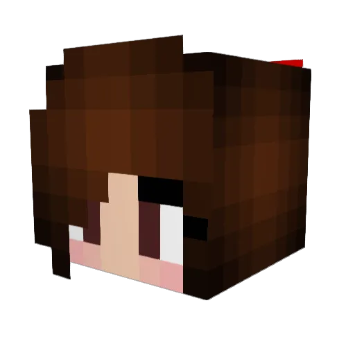 CrackerjackCorgi Minecraft avatar head, 3D render