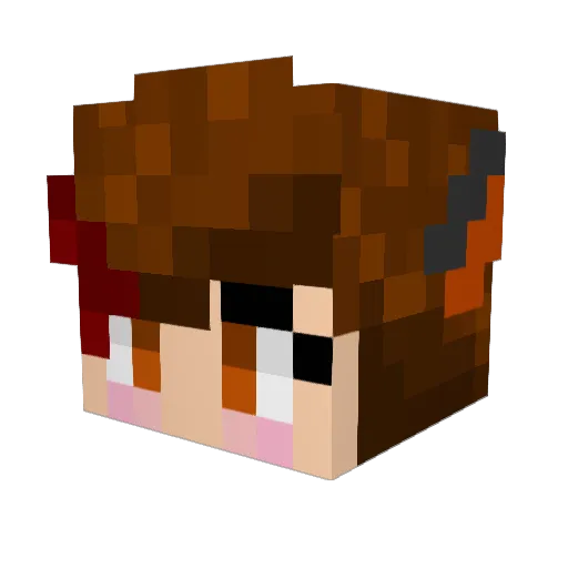 Crackers2223 Minecraft avatar head, 3D render