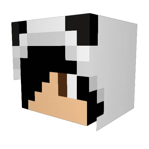Cracus132 Minecraft avatar head, 3D render