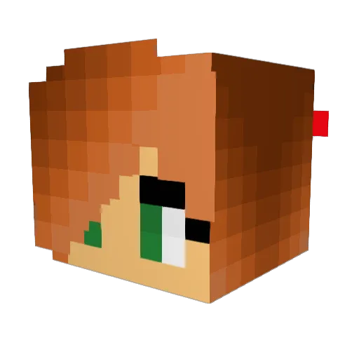 CraftCadet1 Minecraft avatar head, 3D render