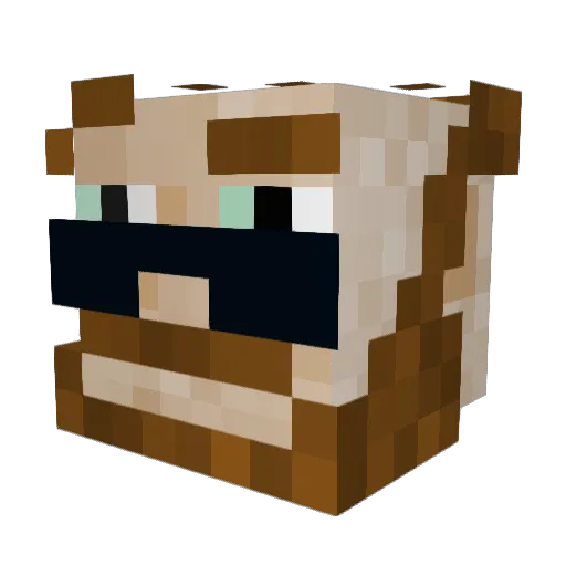 CraftEndZG Minecraft avatar head, 3D render