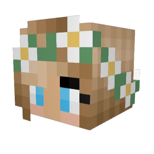 CraftGir109 Minecraft avatar head, 3D render