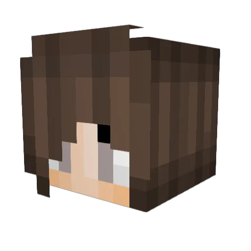 CraftHouse Minecraft avatar head, 3D render