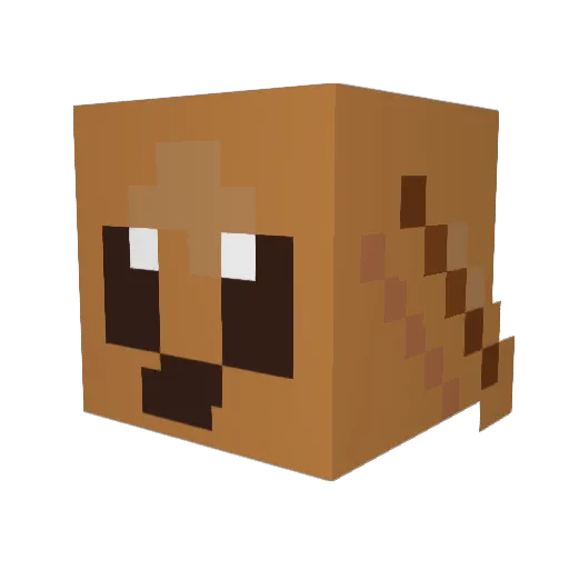 CraftKingShaun Minecraft avatar head, 3D render
