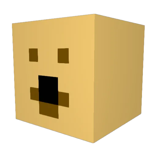 CraftMan18 Minecraft avatar head, 3D render