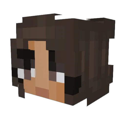 CraftMeA_ Minecraft avatar head, 3D render