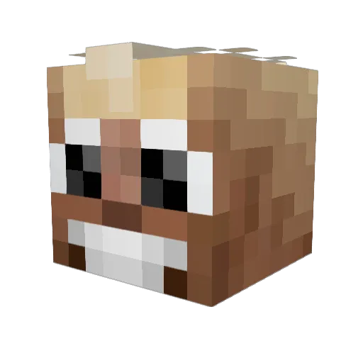 Craft_Attack Minecraft avatar head, 3D render