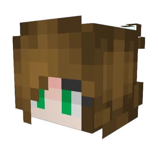 Craft_Jensin Minecraft avatar head, 3D render