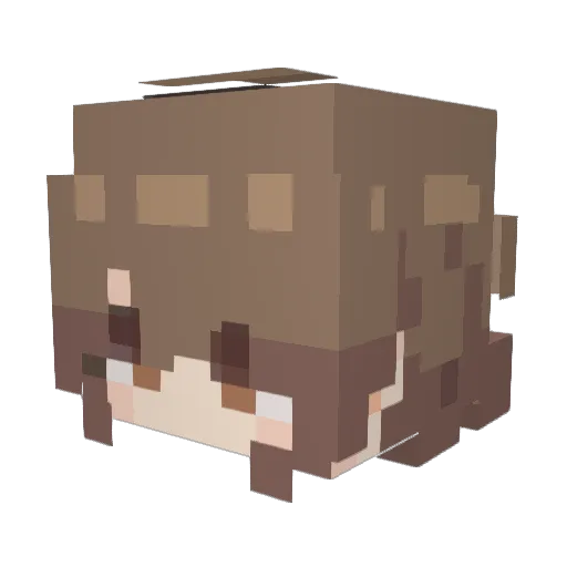 Minecraft-Avatar von Craft_Lawrence: Kopf als 3D-Render