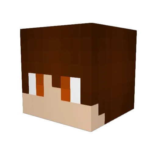 Crafter074 Minecraft avatar head, 3D render