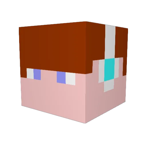 Crafter2923 Minecraft avatar head, 3D render